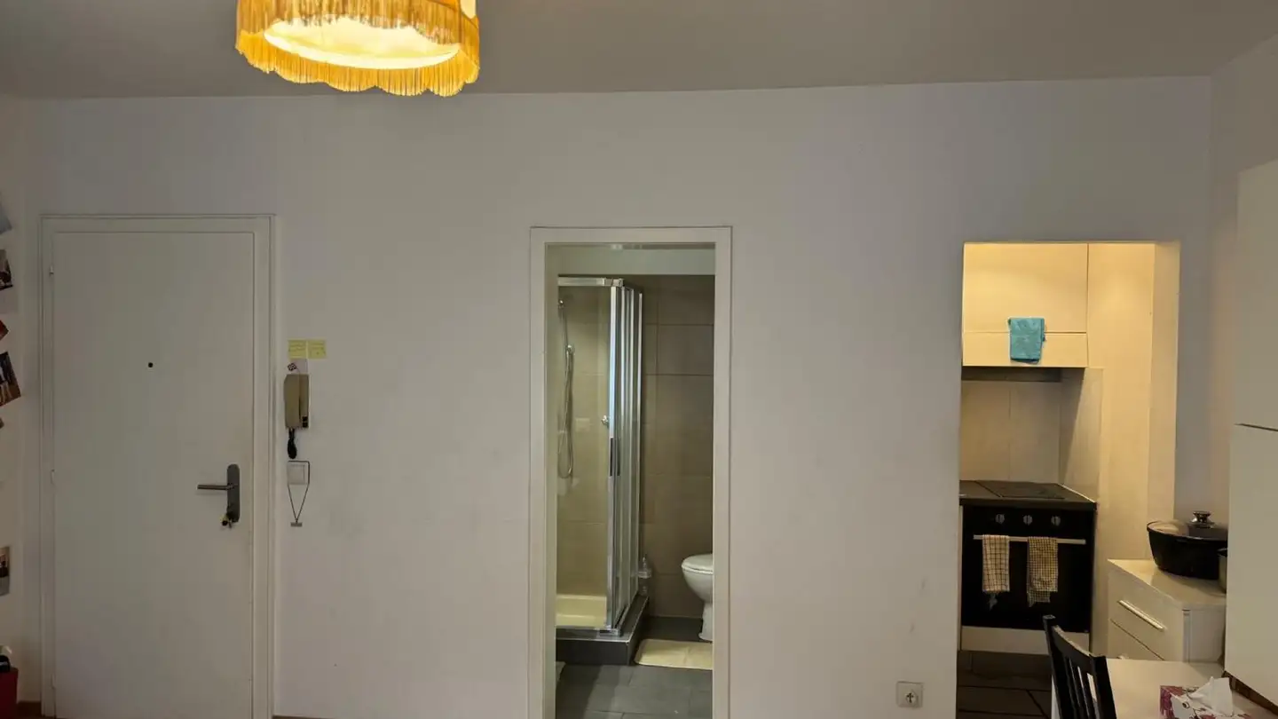 Apartment for rent - Via Ponte Vecchio 28, 6807 Taverne - Photo 2