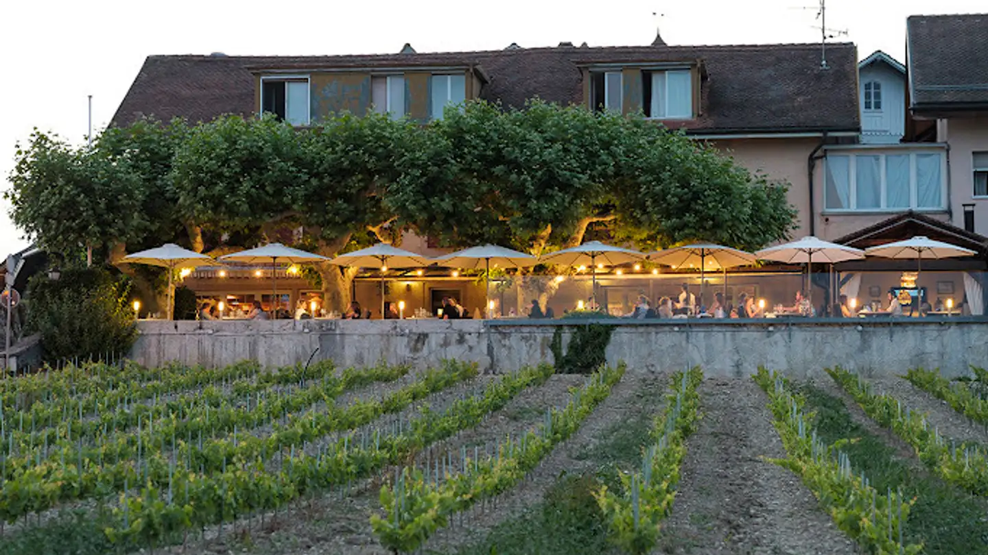 Hotel kaufen - 1266 Duillier