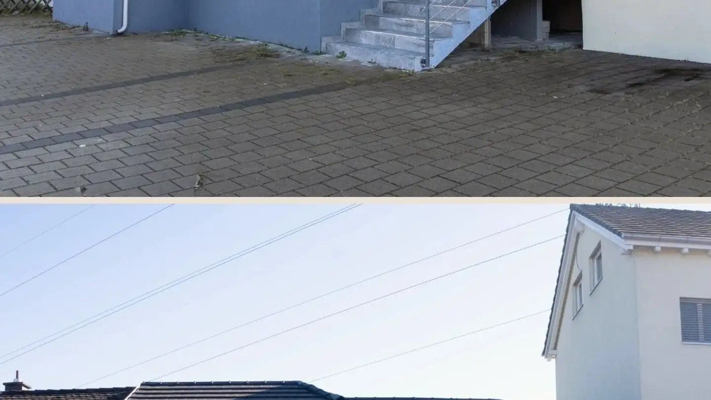 Single house for sale - Emil Frey-Strasse 203, 4142 Münchenstein - Photo 2