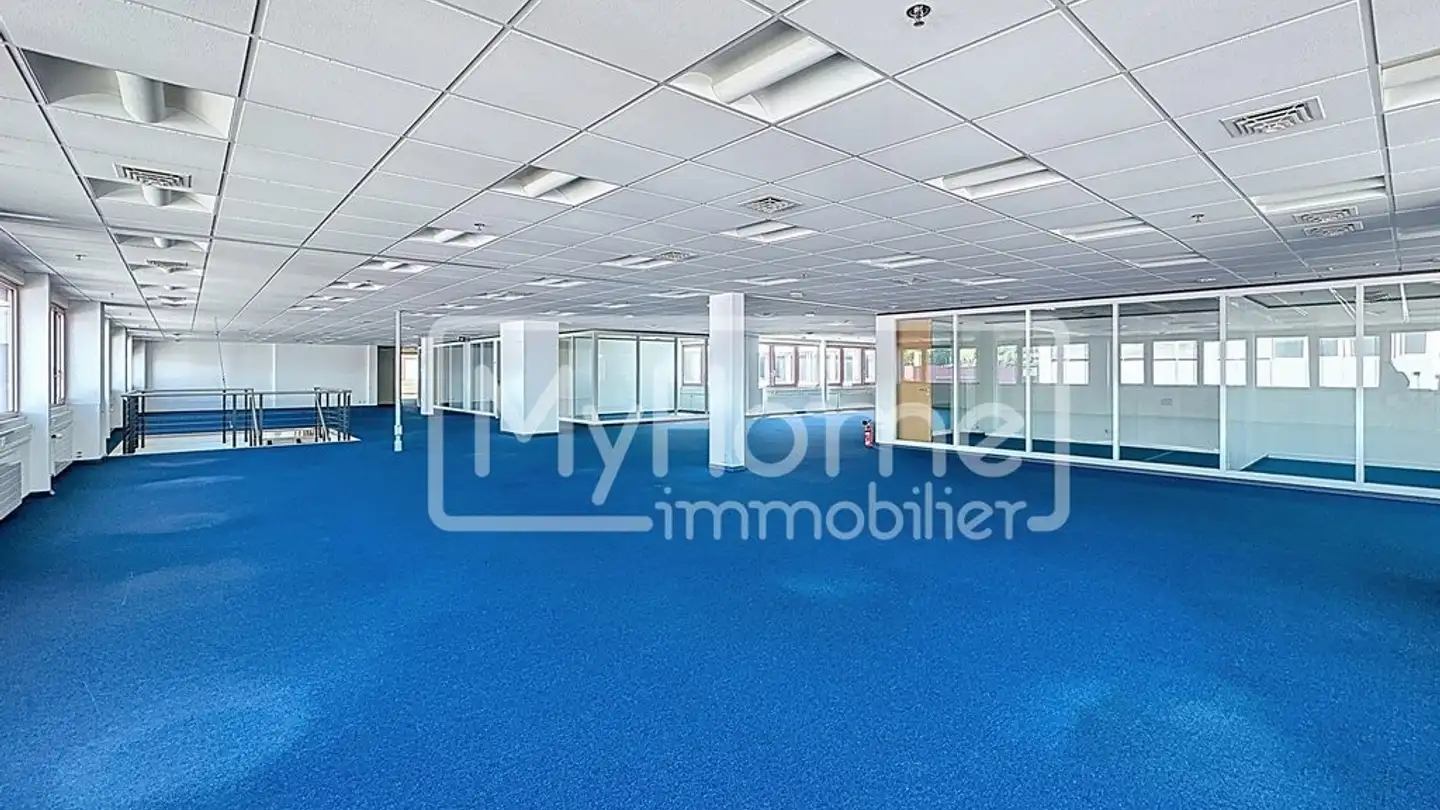 Geschäft mieten - Route De Denges 28e, 1027 Lonay - Foto 4