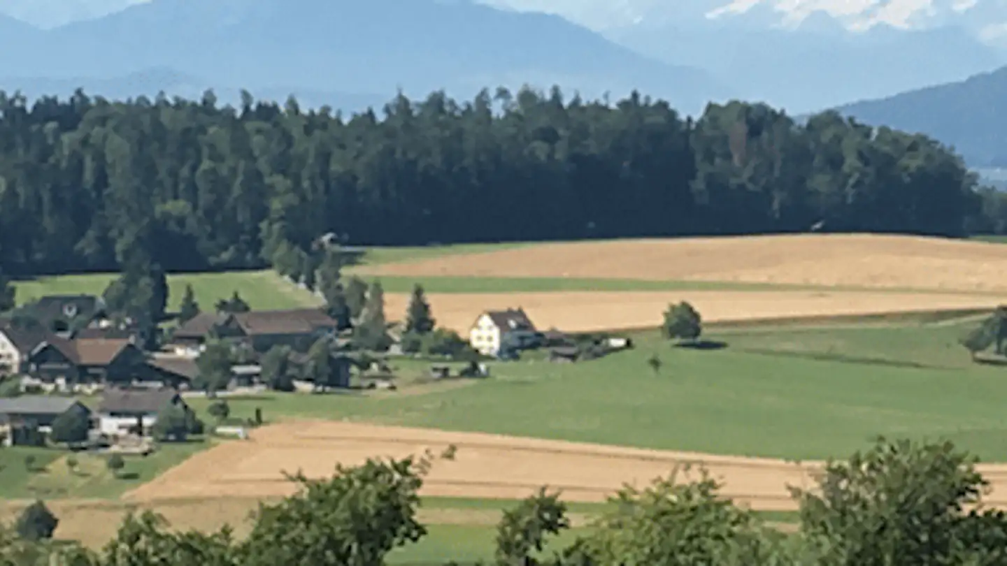 Duplex à louer - 8126 Zumikon