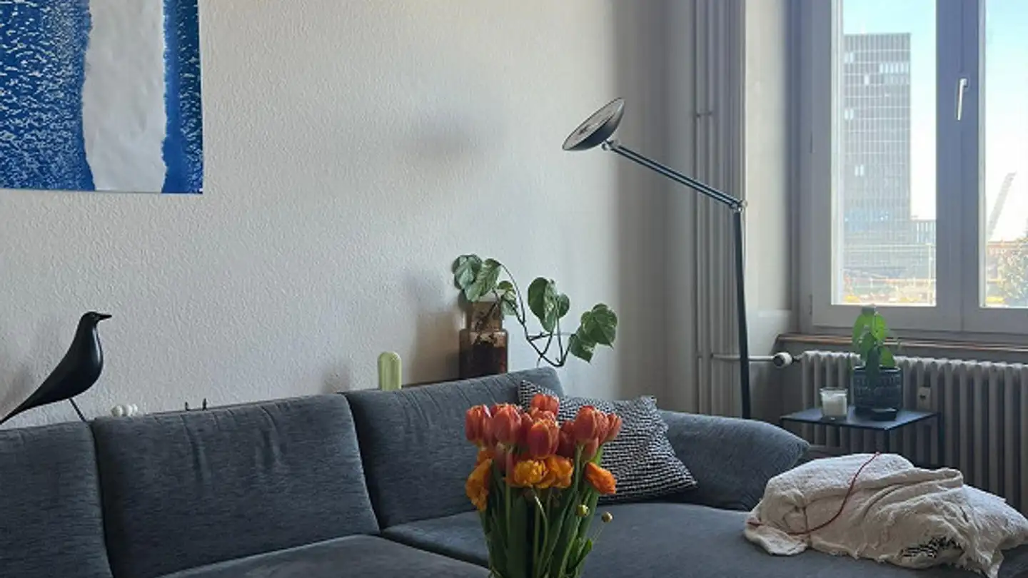 Appartamento in affitto - 4053 Basel