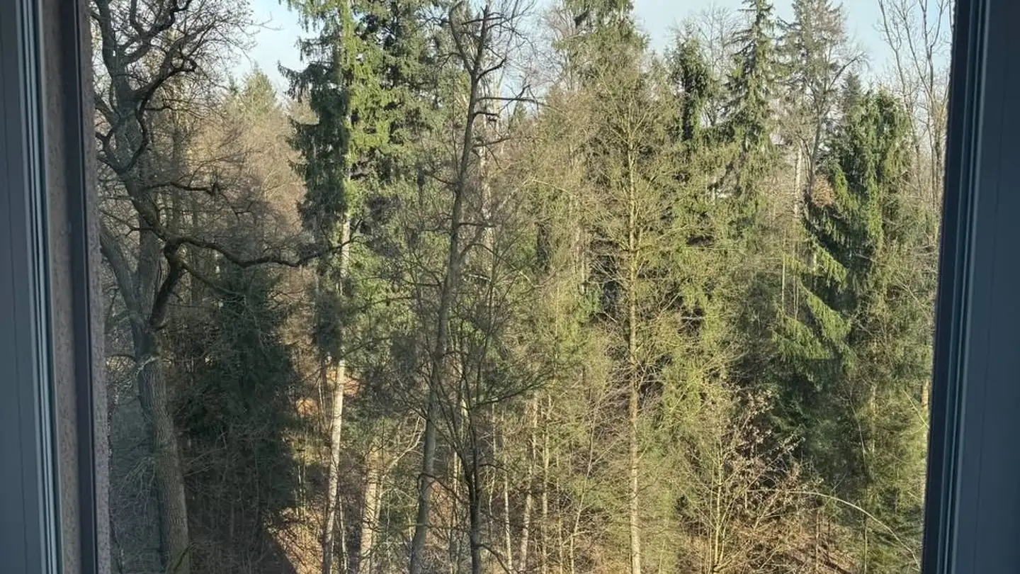 Apartment for rent - Seidenstrasse 4, 8304 Wallisellen - Photo 3