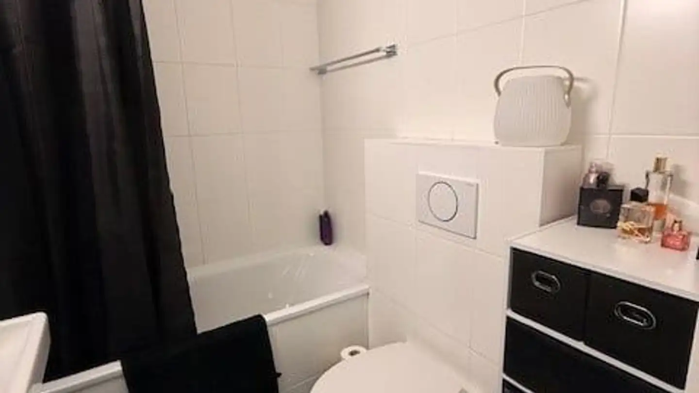 Dachgeschosswohnung mieten - Avenue Théodore- Weber 36, 1208 Genève - Foto 3