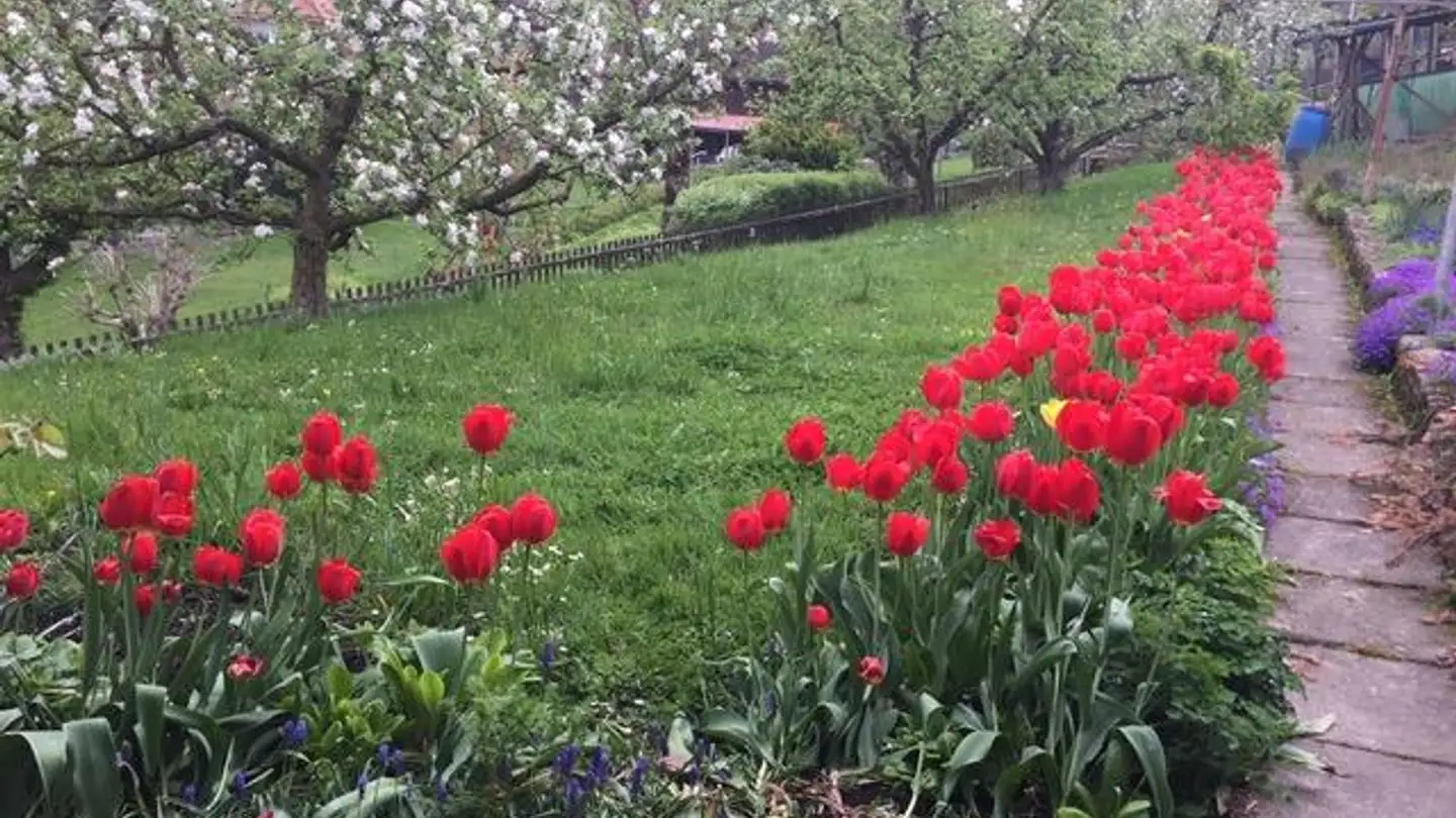 Single house for sale - Lindenrain 3, 4914 Roggwil BE