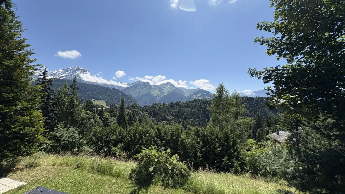 Chalet for sale - 1884 Arveyes - Photo 3