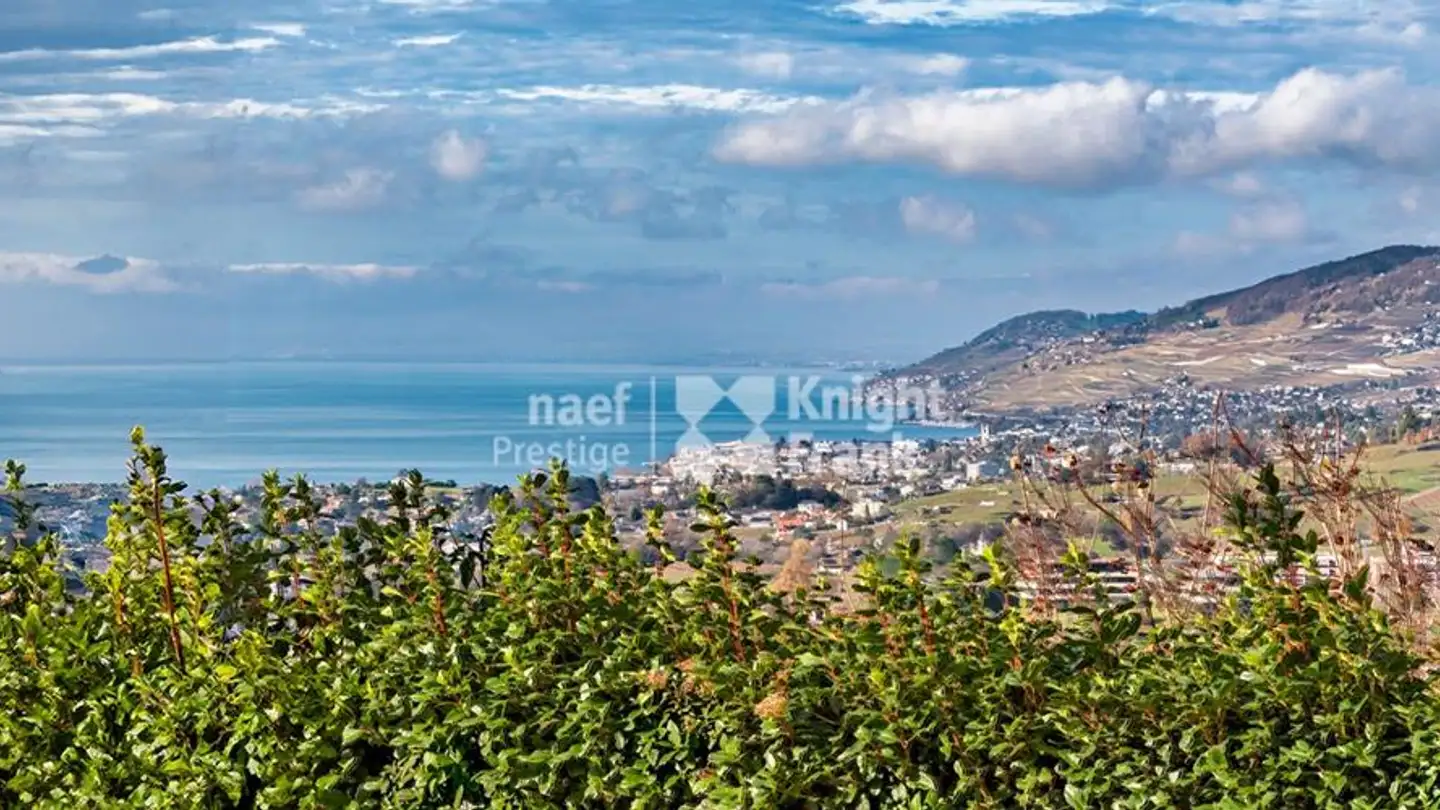 Villa for sale - 1822 Chernex - Photo 3