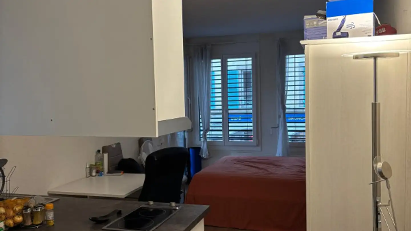 Appartamento in affitto - Rue De La Tour, 1205 Genève - Foto 3