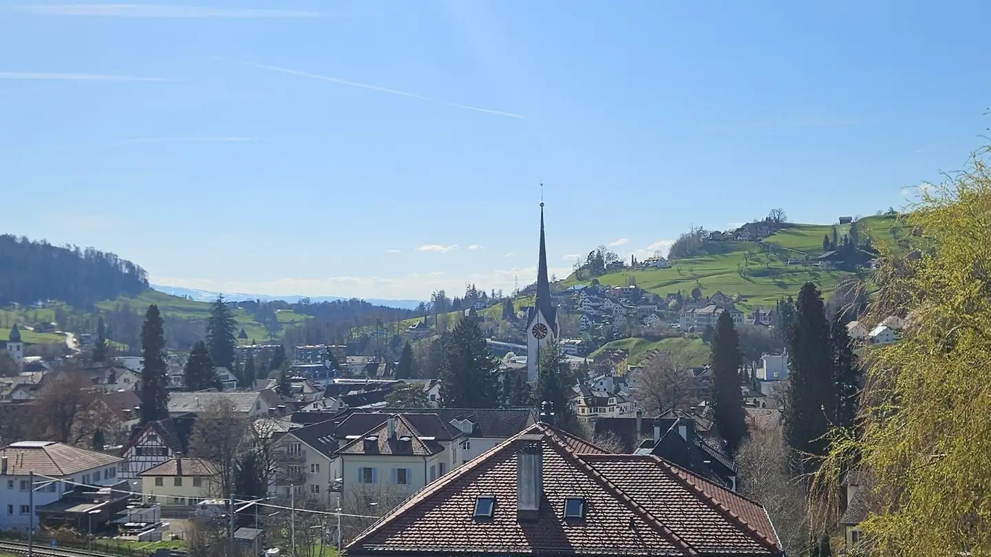 Apartment for rent - Hömelstrasse 6, 8636 Wald ZH - Photo 4