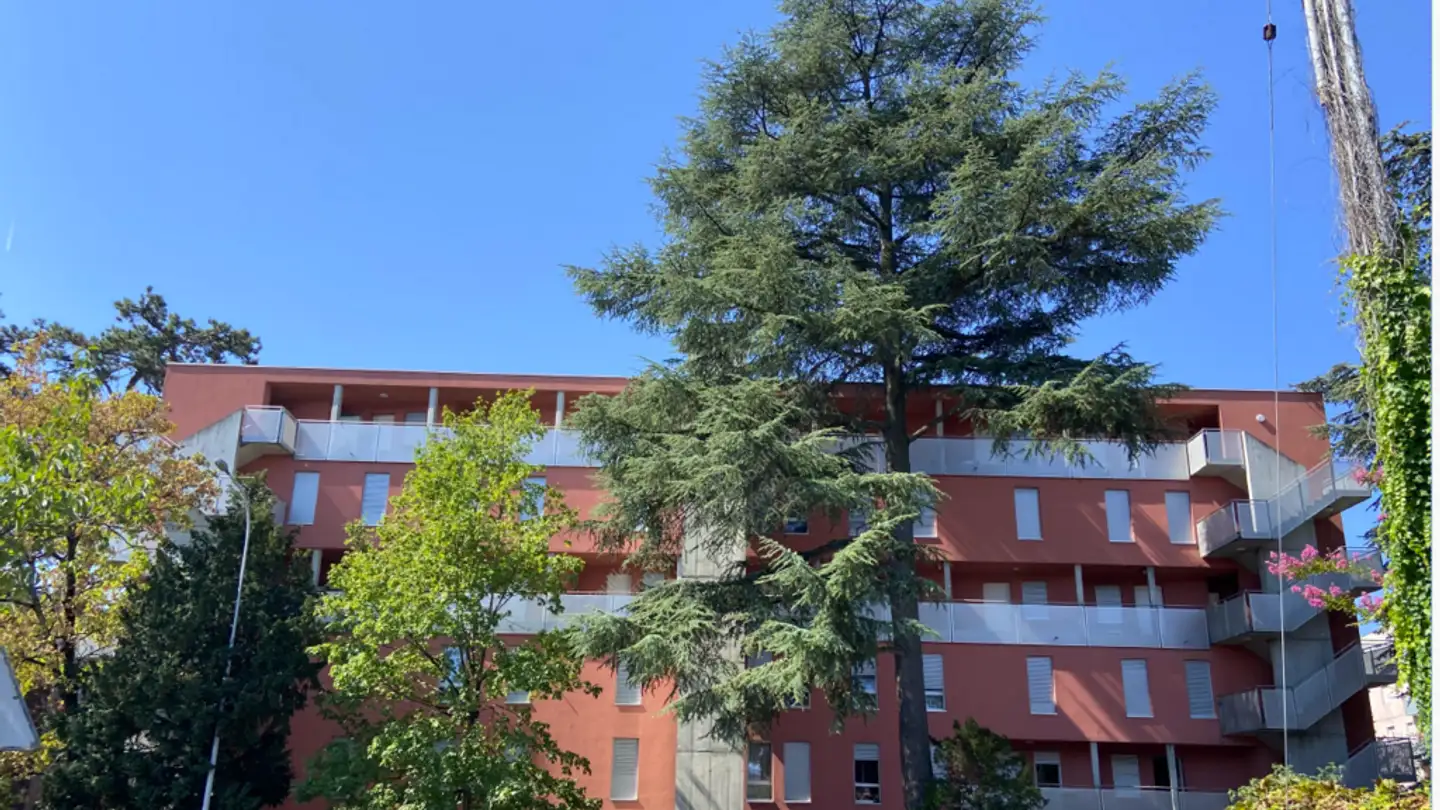 Wohnung mieten - Chemin Des Esserts 5, 1213 Petit-Lancy