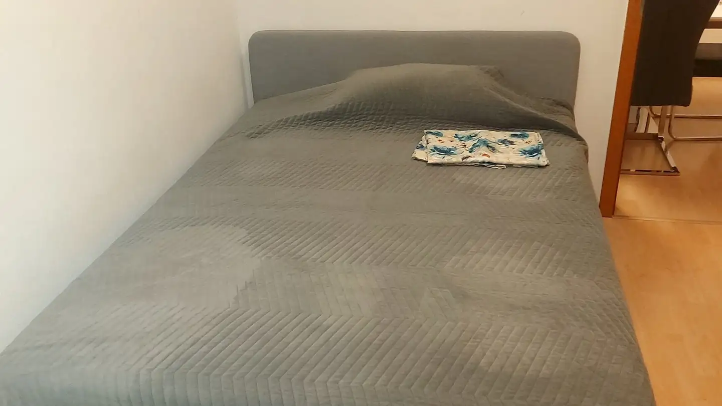 Appartement à louer - 8965 Berikon