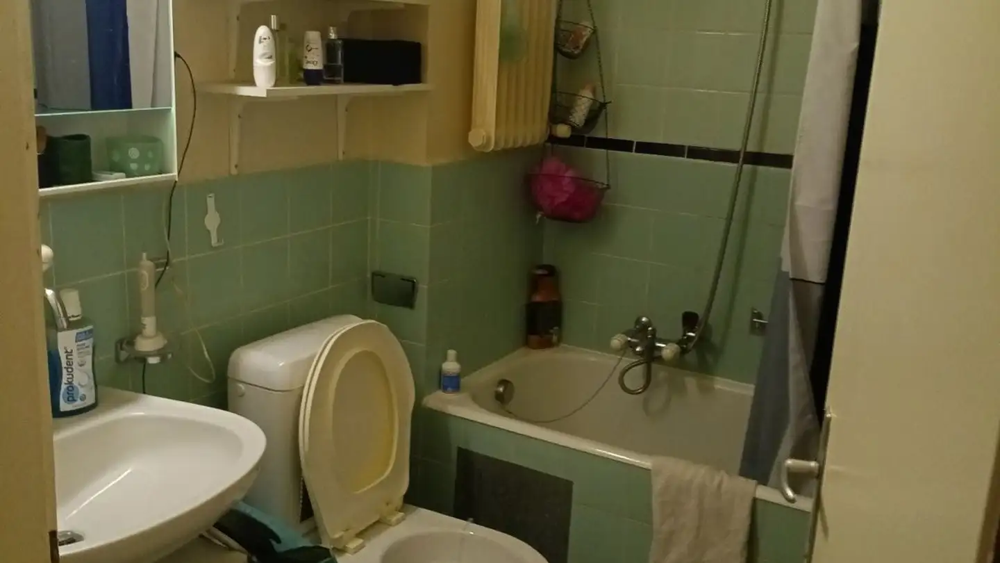 Zimmer mieten - Chemin De La Cassinette 9, 1018 Lausanne - Foto 2