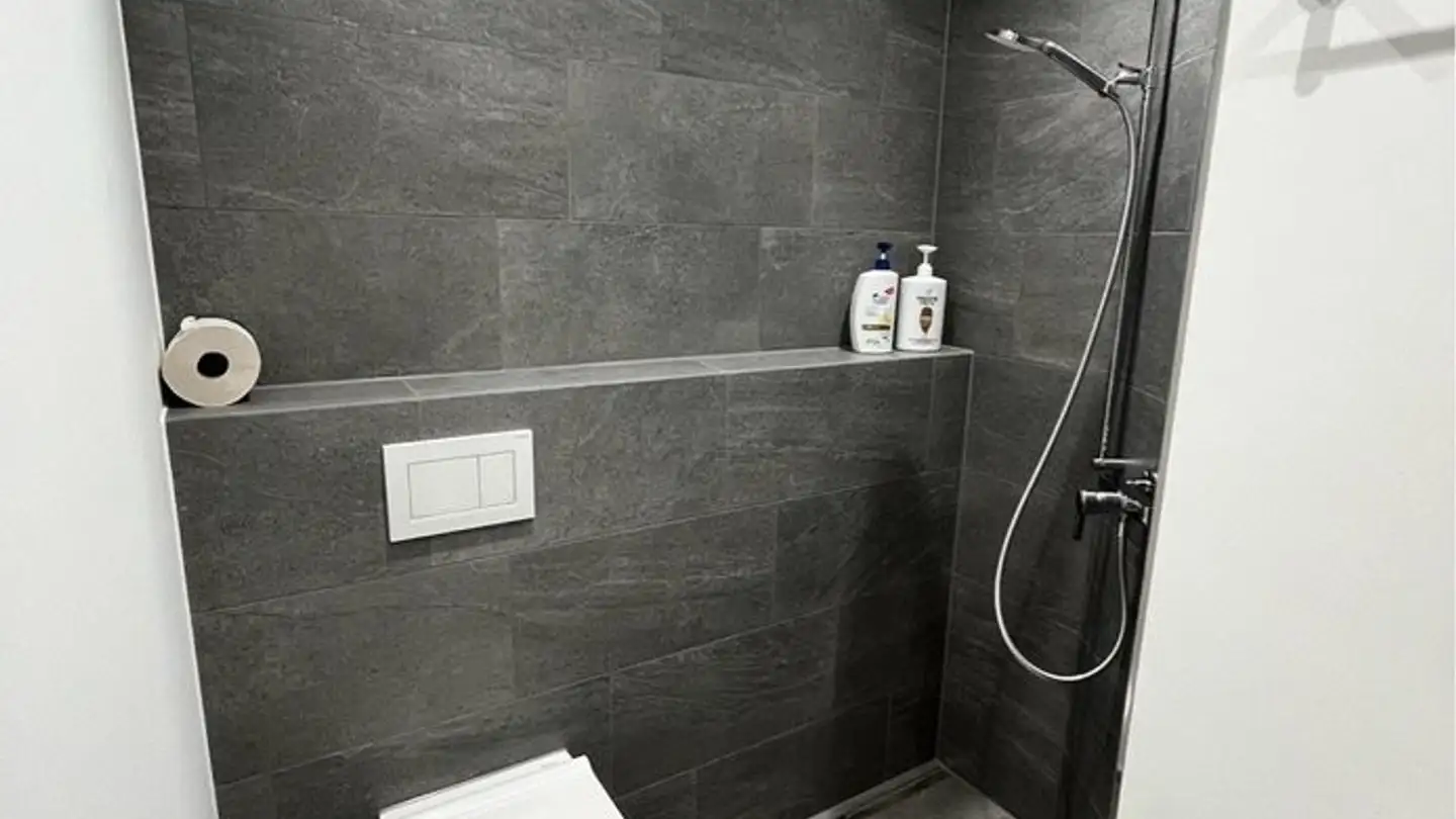 Single room for rent - Bifangstrasse 1, 6048 Horw - Photo 3