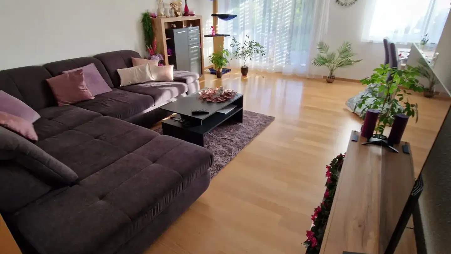 Appartamento in affitto - Im Grund 3, 8442 Hettlingen