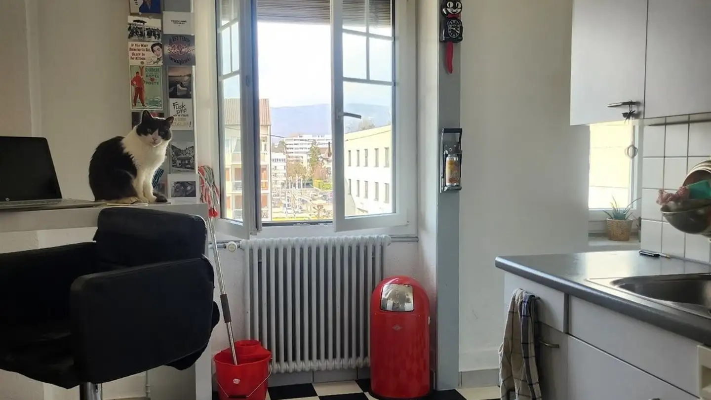 Appartement à louer - Rue Juste-Olivier, 1260 Nyon - Photo 3