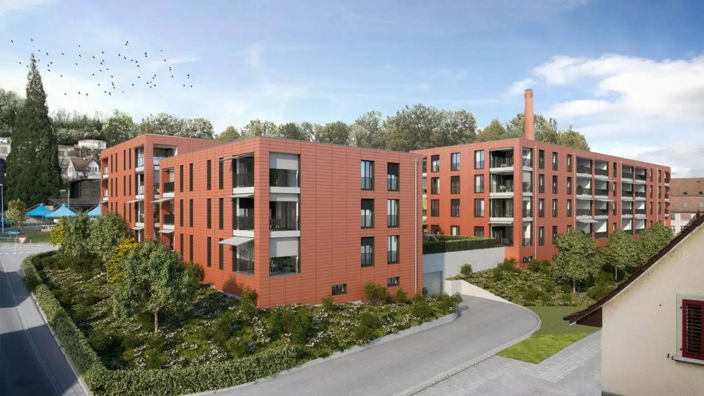 Appartamento in affitto - Erlinsbacherstrasse, 5013 Niedergösgen