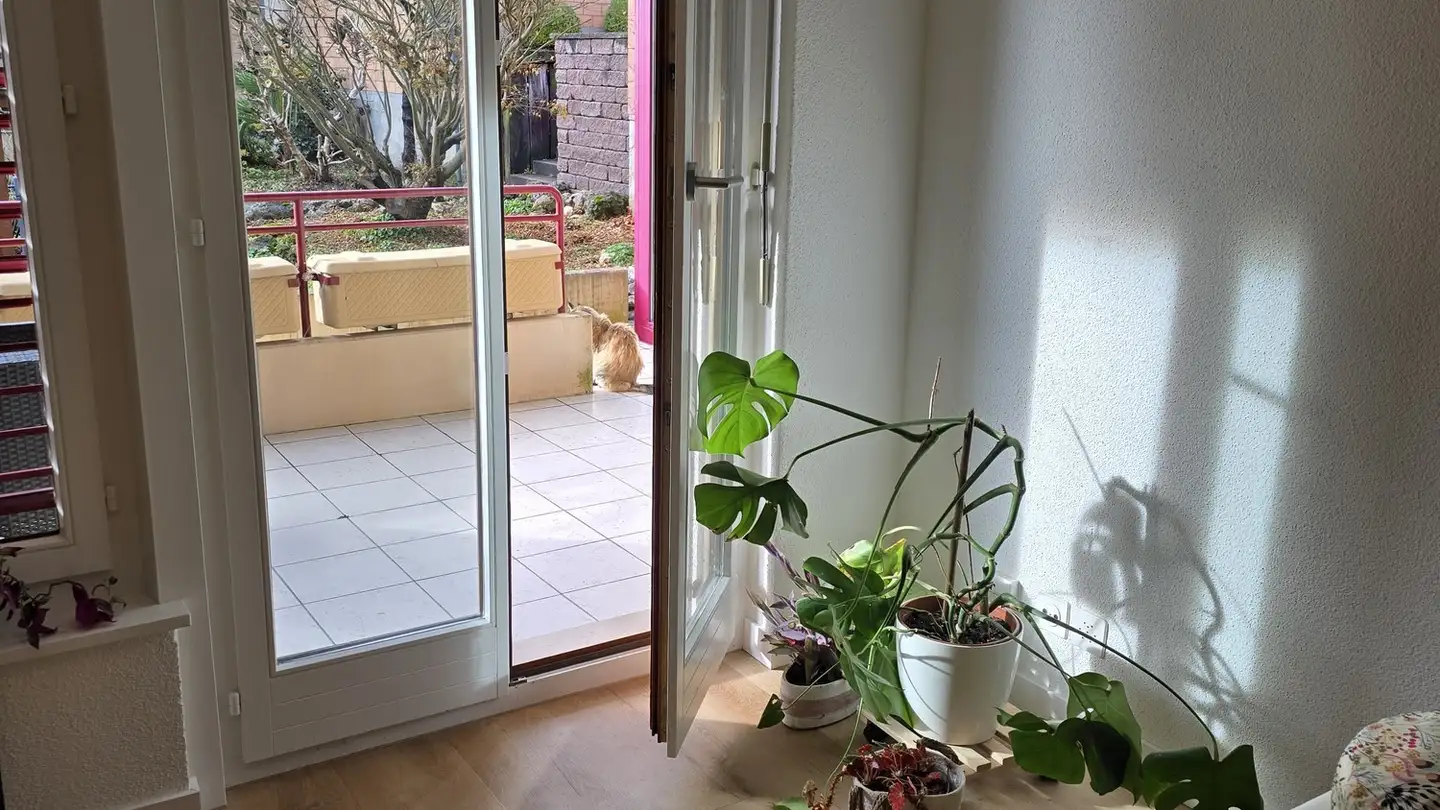 Chambre à louer - 8304 Wallisellen - Photo 4