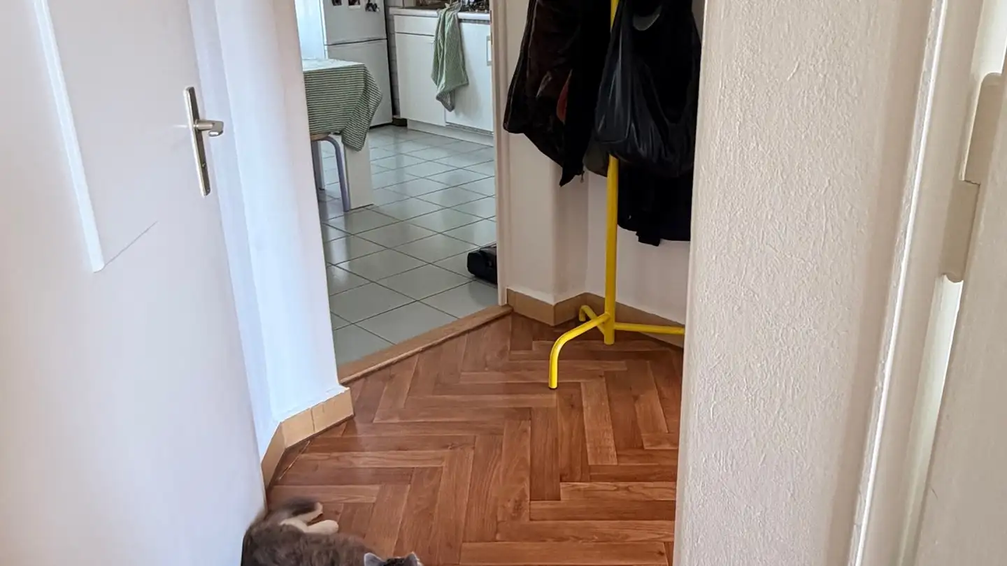 Appartement à louer - Chemin De Renens 11, 1004 Lausanne - Photo 3