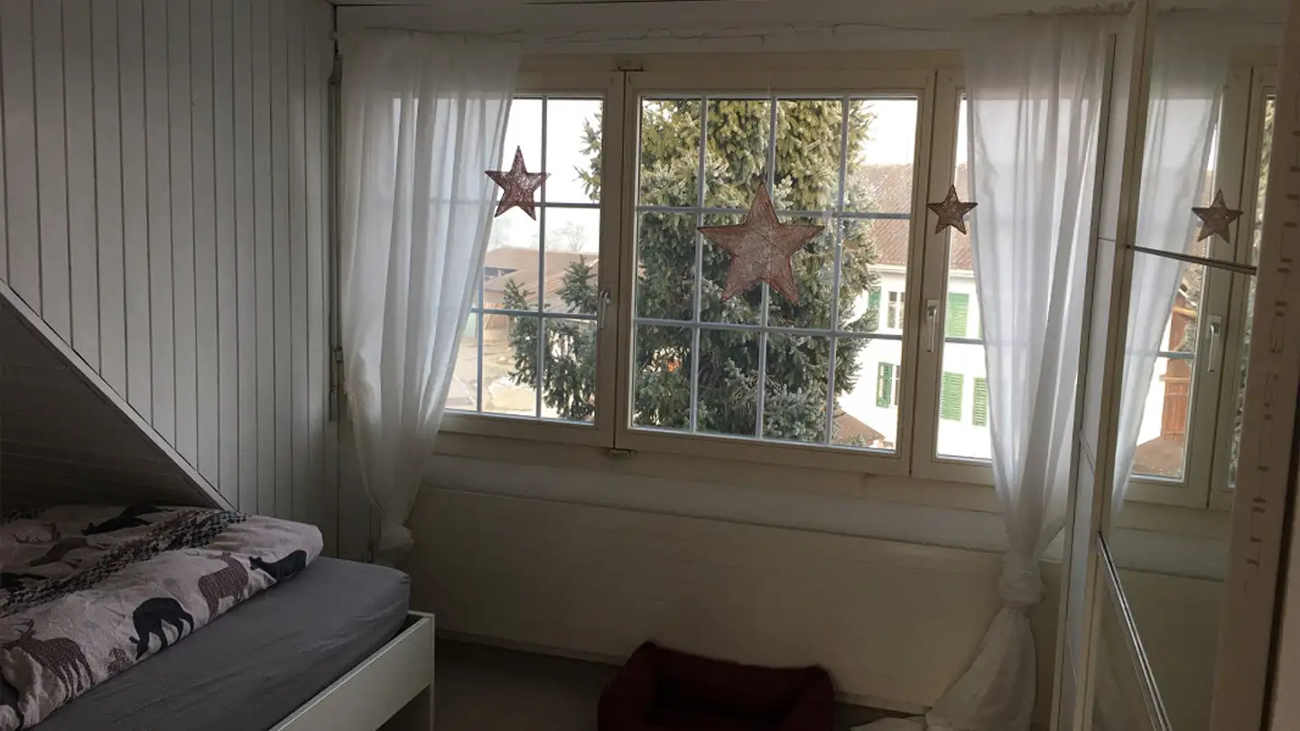 Attico in affitto - Schulstrasse 7, 9547 Wittenwil - Foto 4