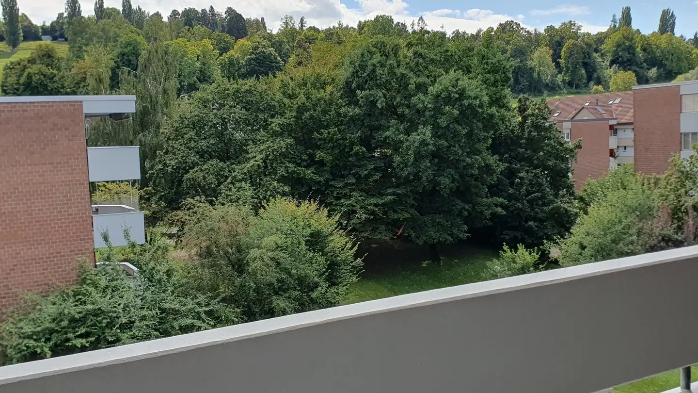 Wohnung mieten - Wellhauserweg 31b, 8500 Frauenfeld - Foto 2