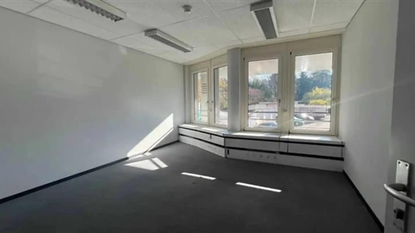 Bürofläche mieten - Impasse Colombelle 8a, 1218 Le Grand-Saconnex - Foto 3