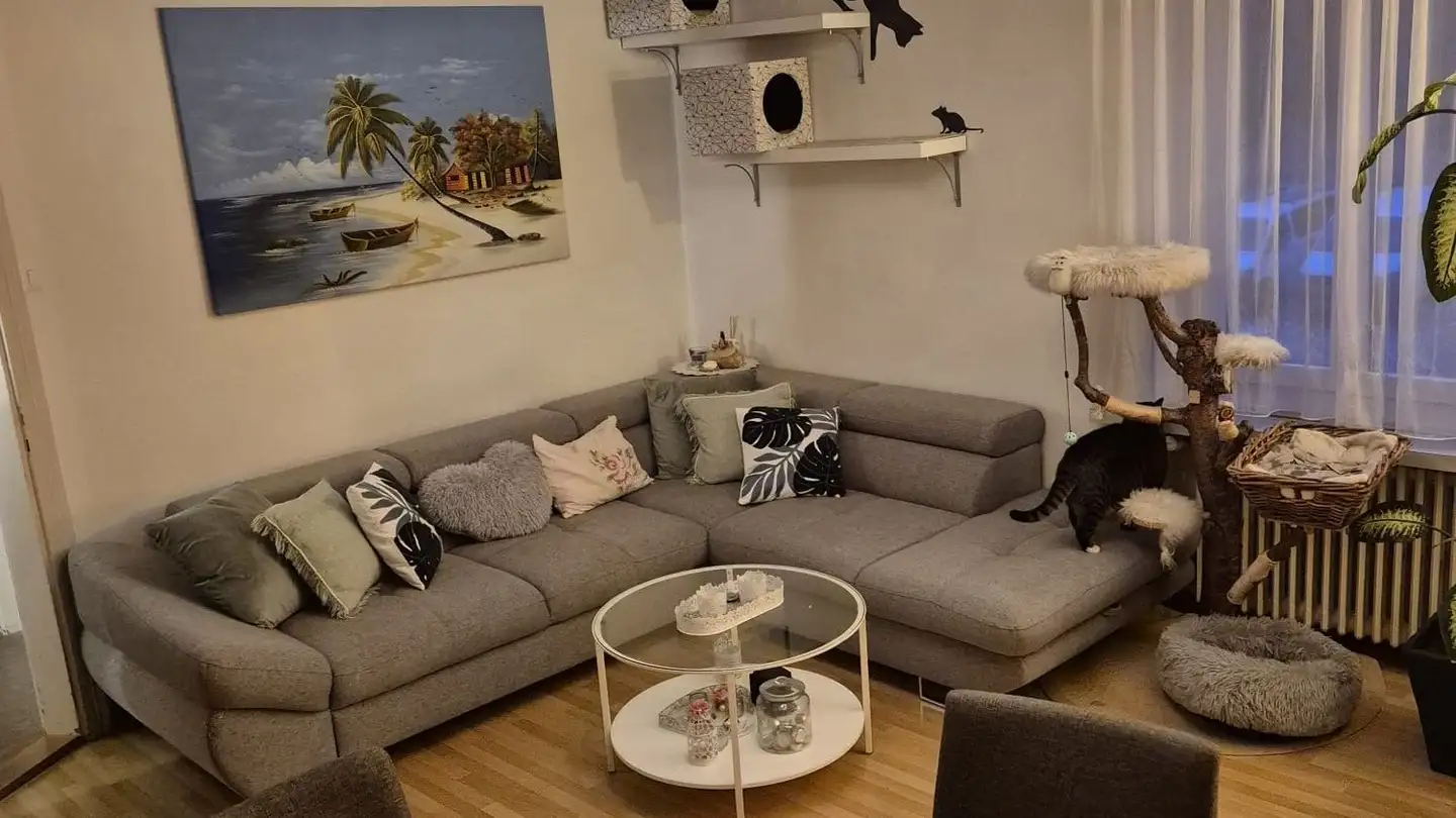 Appartamento in affitto - Mülligerstrasse 2, 5210 Windisch