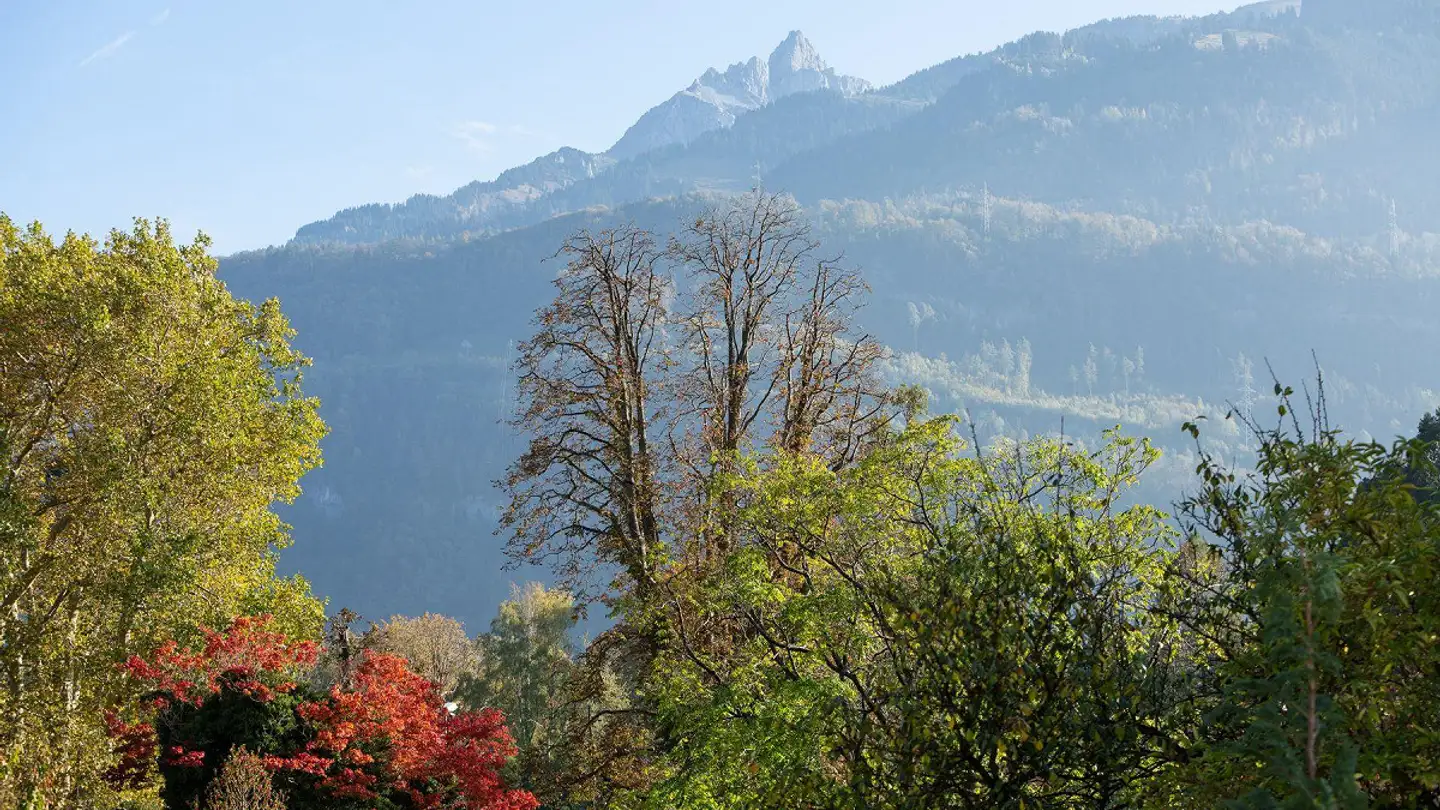 Maisonette-Wohnung mieten - Im Städtli 30, 8872 Weesen - Foto 2