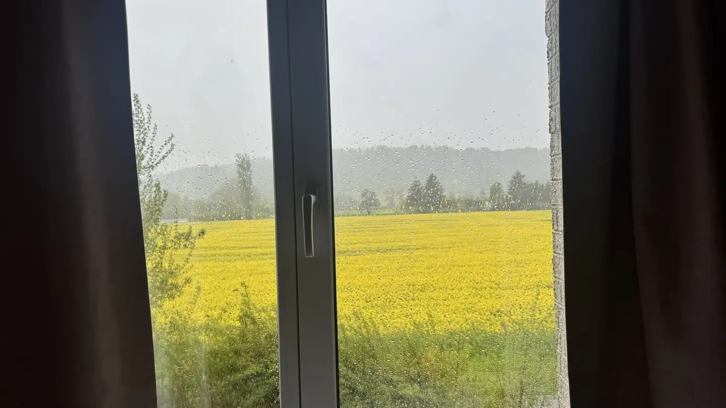 Single house for rent - Im Wiesengrund, 8907 Wettswil - Photo 2