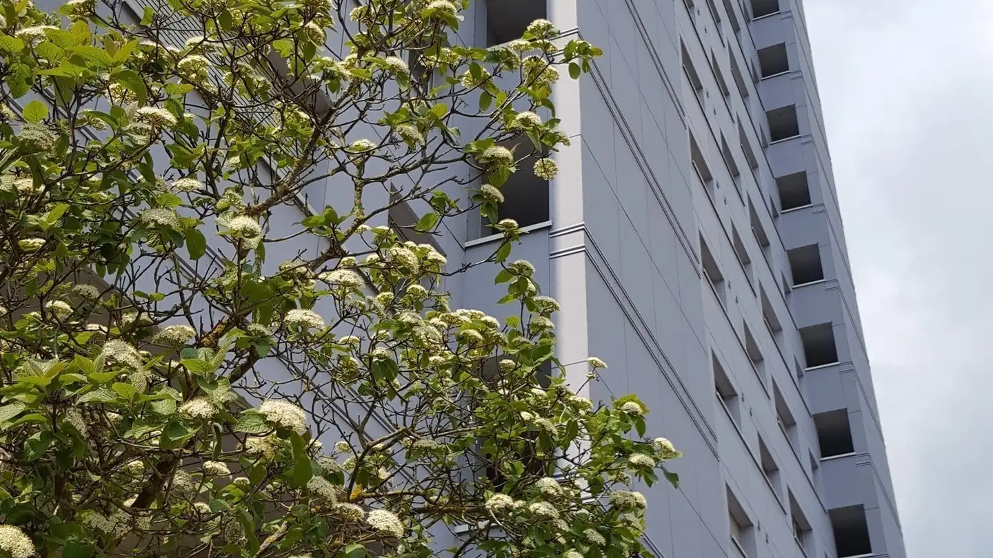 Appartement à louer - Lyss-Strasse 11, 2560 Nidau