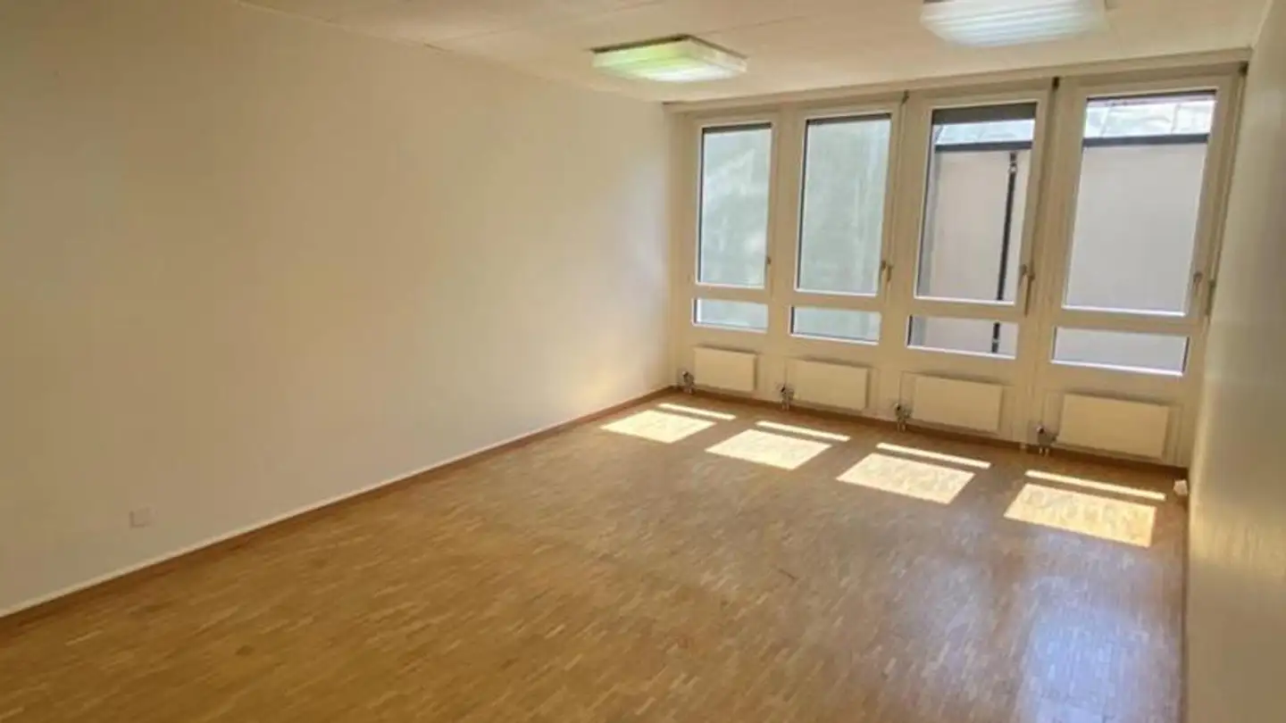 Office space for rent - Rue De Lausanne 36, 1201 Genève
