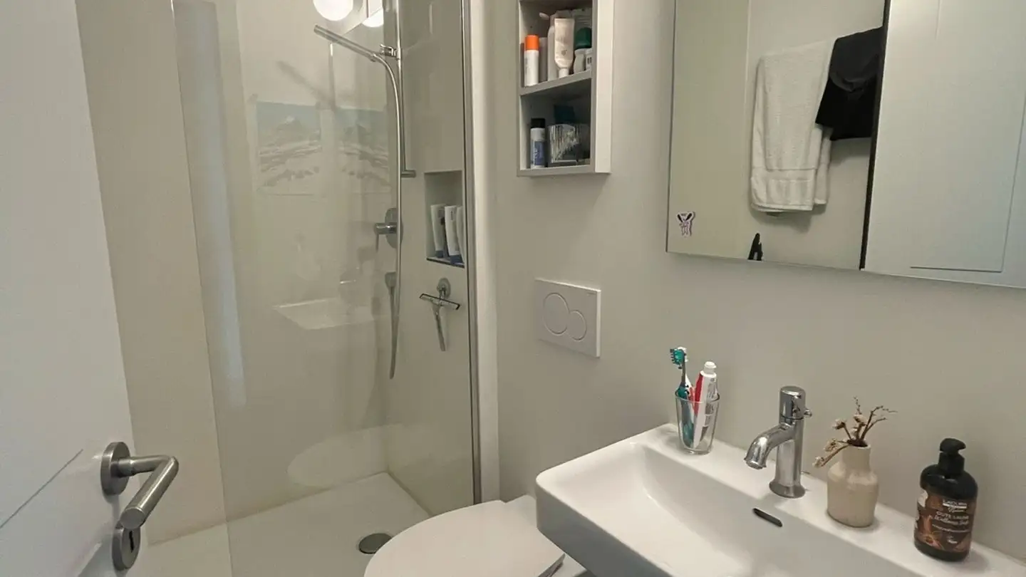 Stanza singola in affitto - 6003 Luzern - Foto 4