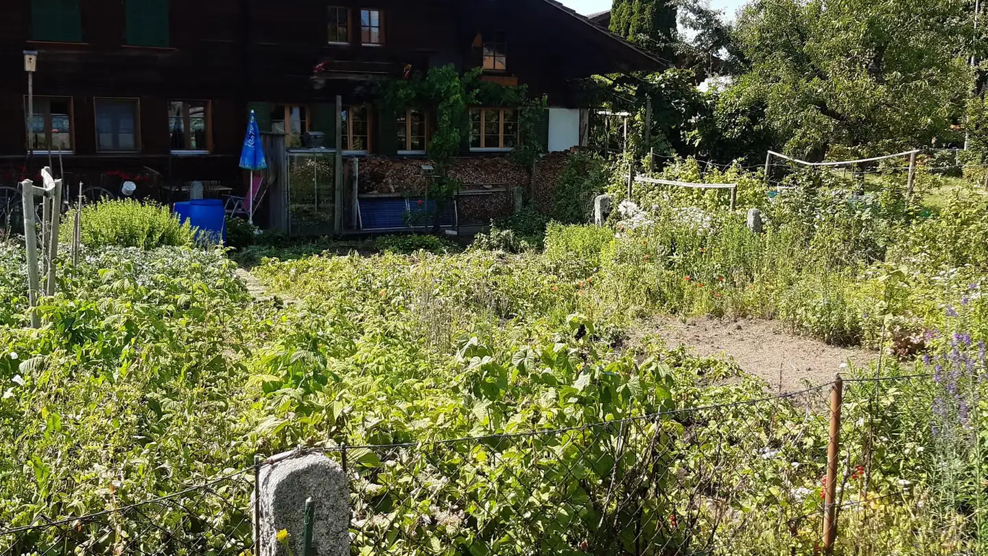 Casa singola in affitto - Unterdorfstrasse 10, 3752 Wimmis