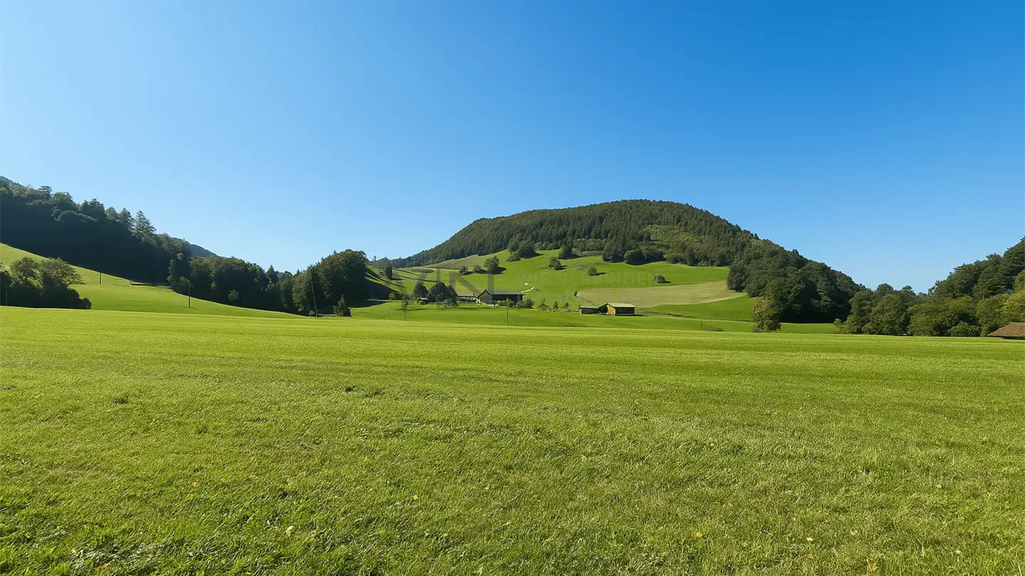 Einfamilienhaus kaufen - 4438 Langenbruck