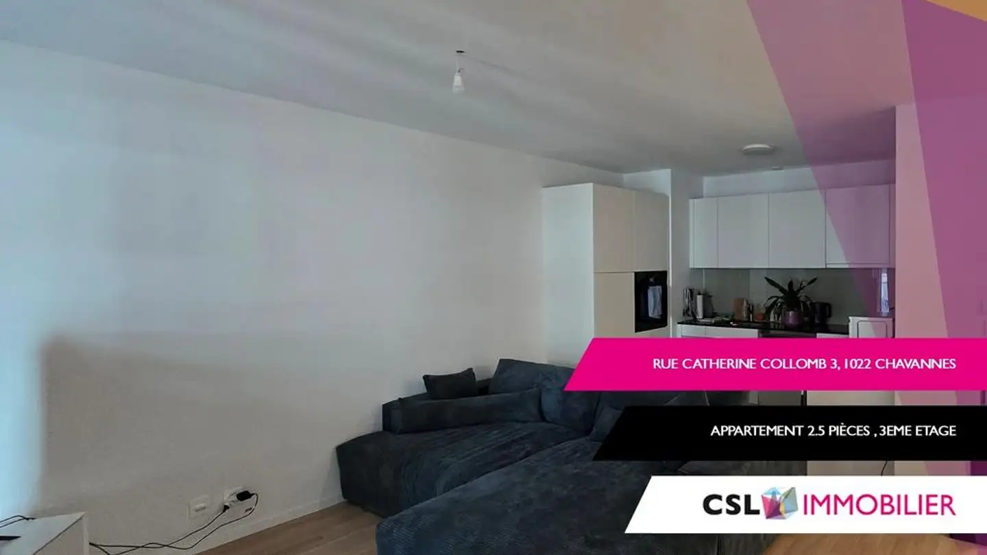 Appartamento in affitto - Rue Catherine Colomb, 1022 Chavannes-près-Renens