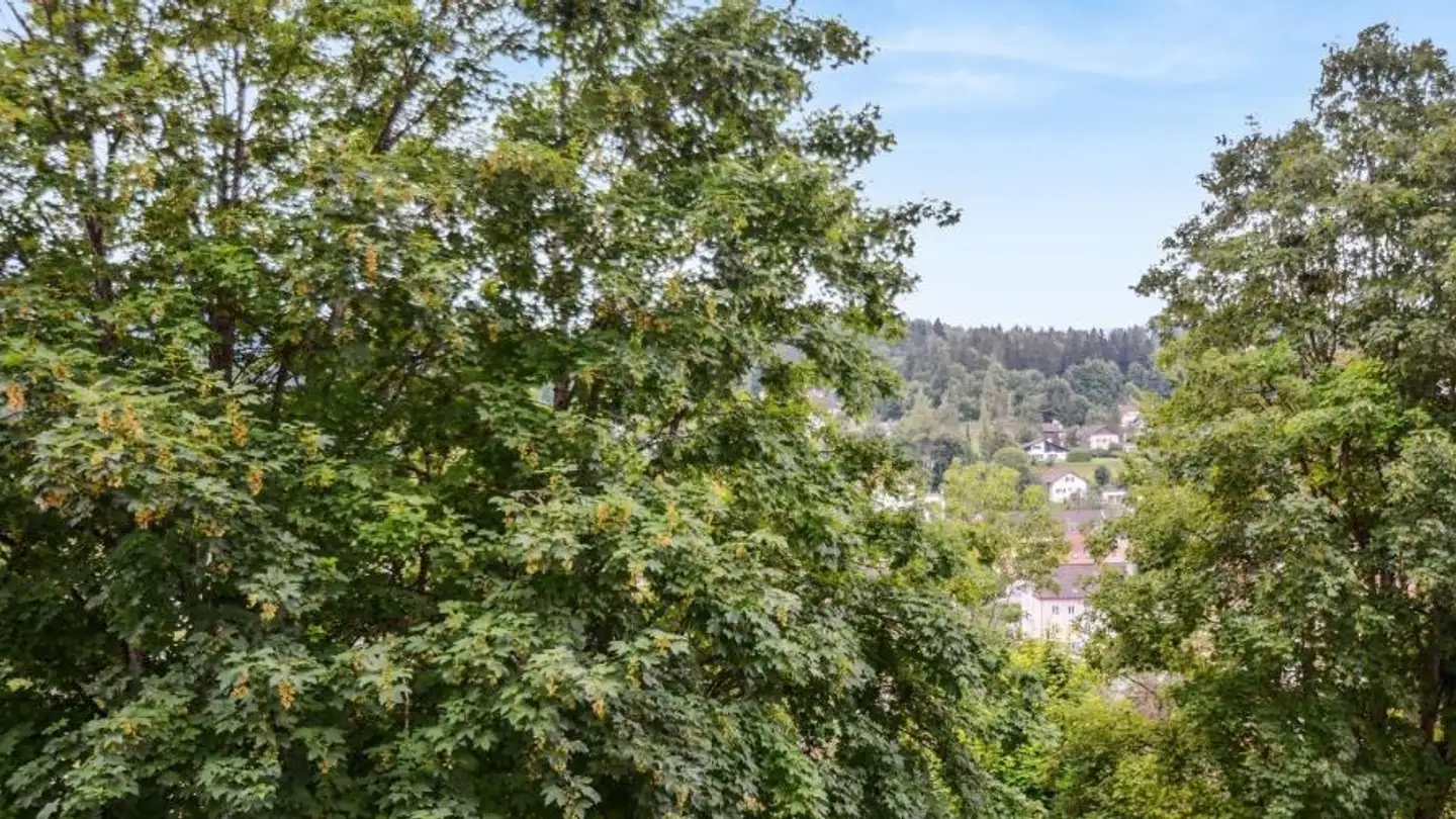 Apartment for rent - Rue Georges-Perrenoud 36, 2400 Le Locle - Photo 3