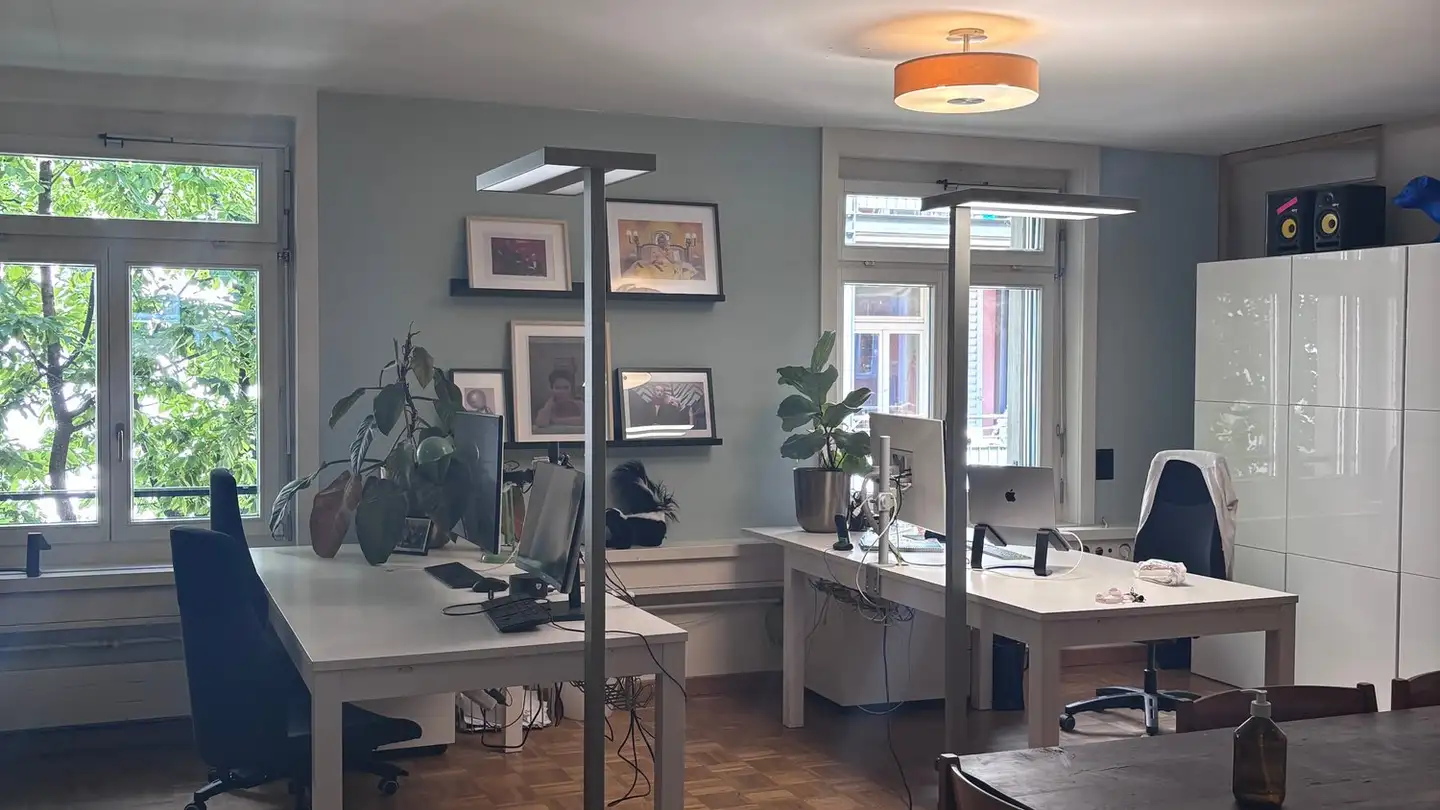 Commercial à louer - Dufourstrasse 185a, 8008 Zürich - Photo 3