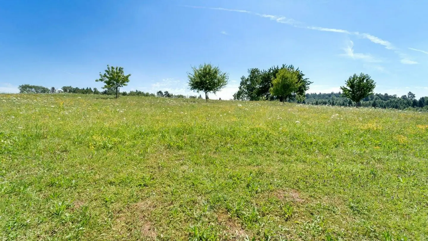 Appartamento in vendita - Trottenstrasse 26, 8472 Seuzach - Photo 4