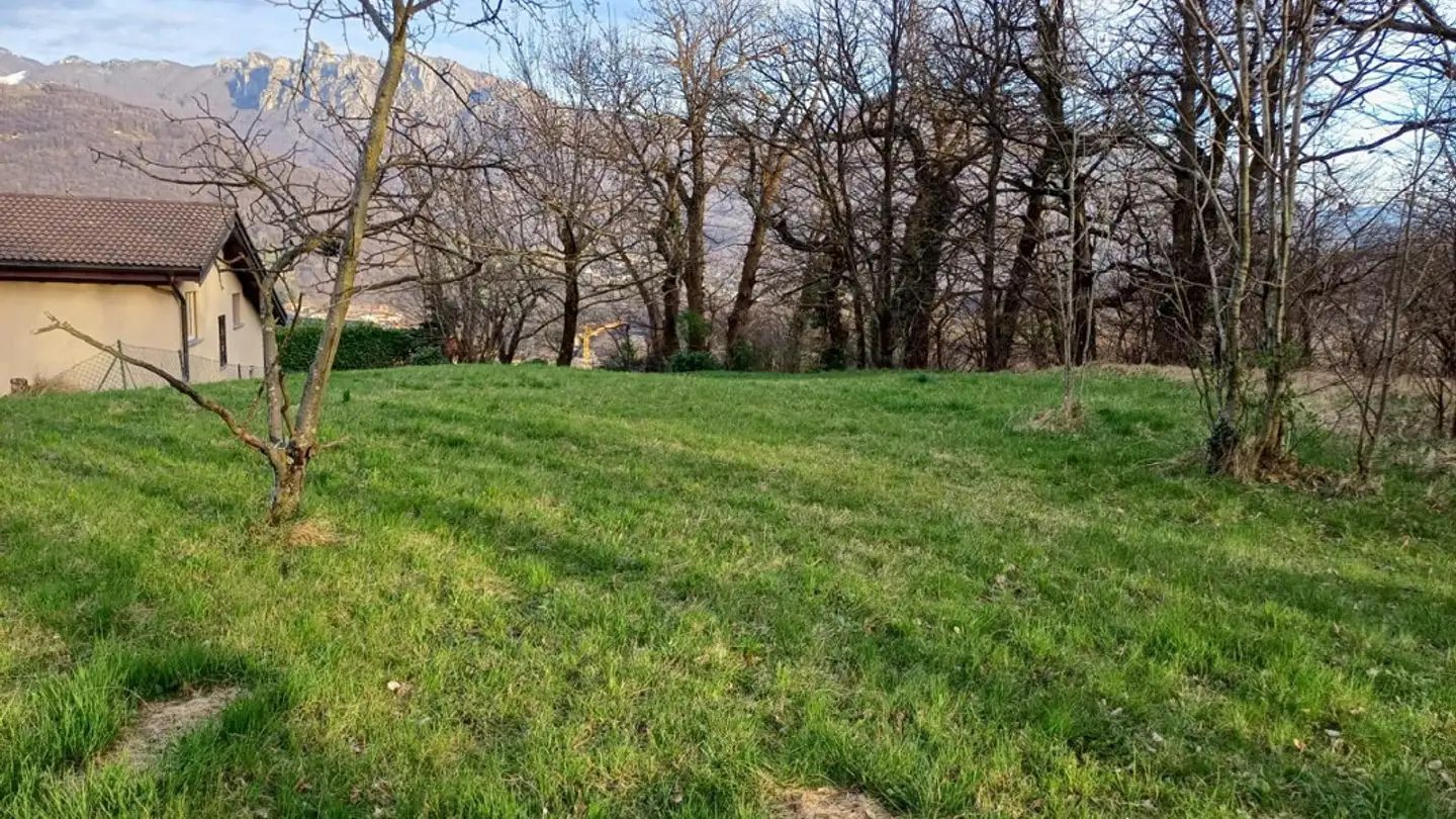 Terreno edificabile in vendita - 6954 Sala Capriasca - Photo 3