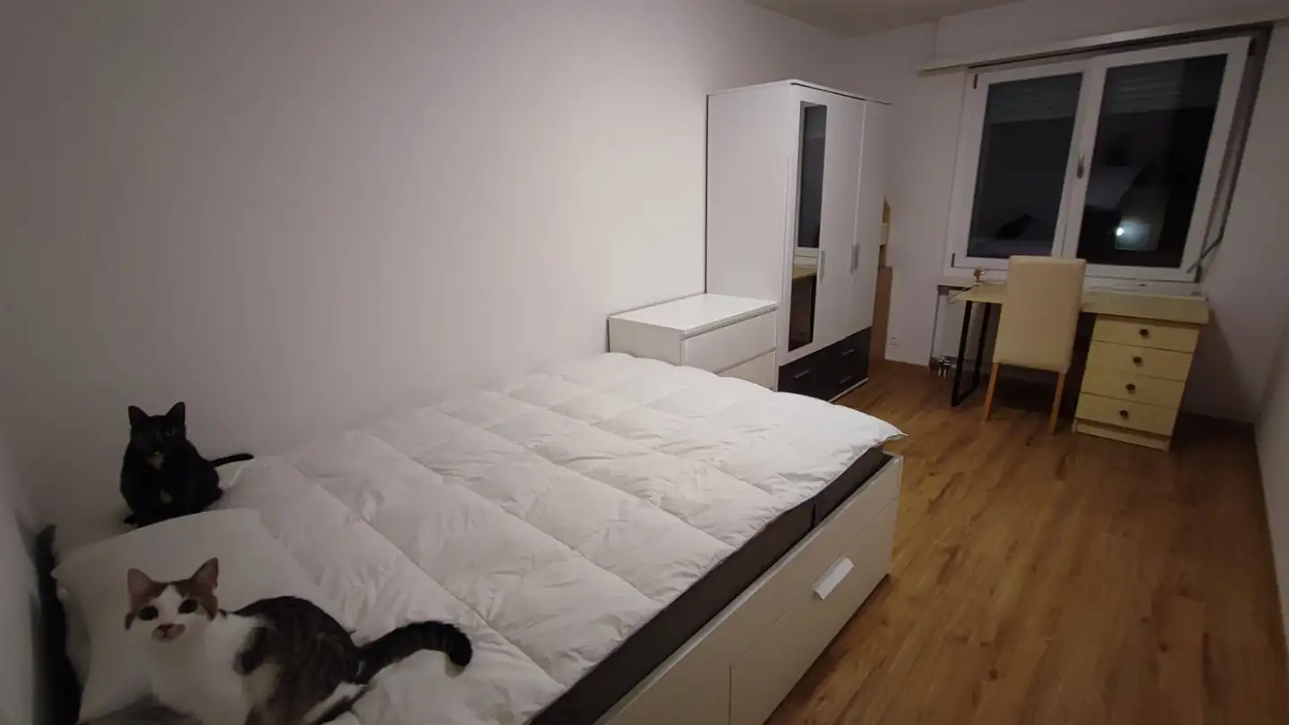 Chambre à louer - 8953 Dietikon