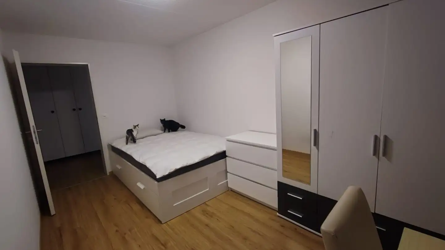 Chambre à louer - 8953 Dietikon - Photo 2