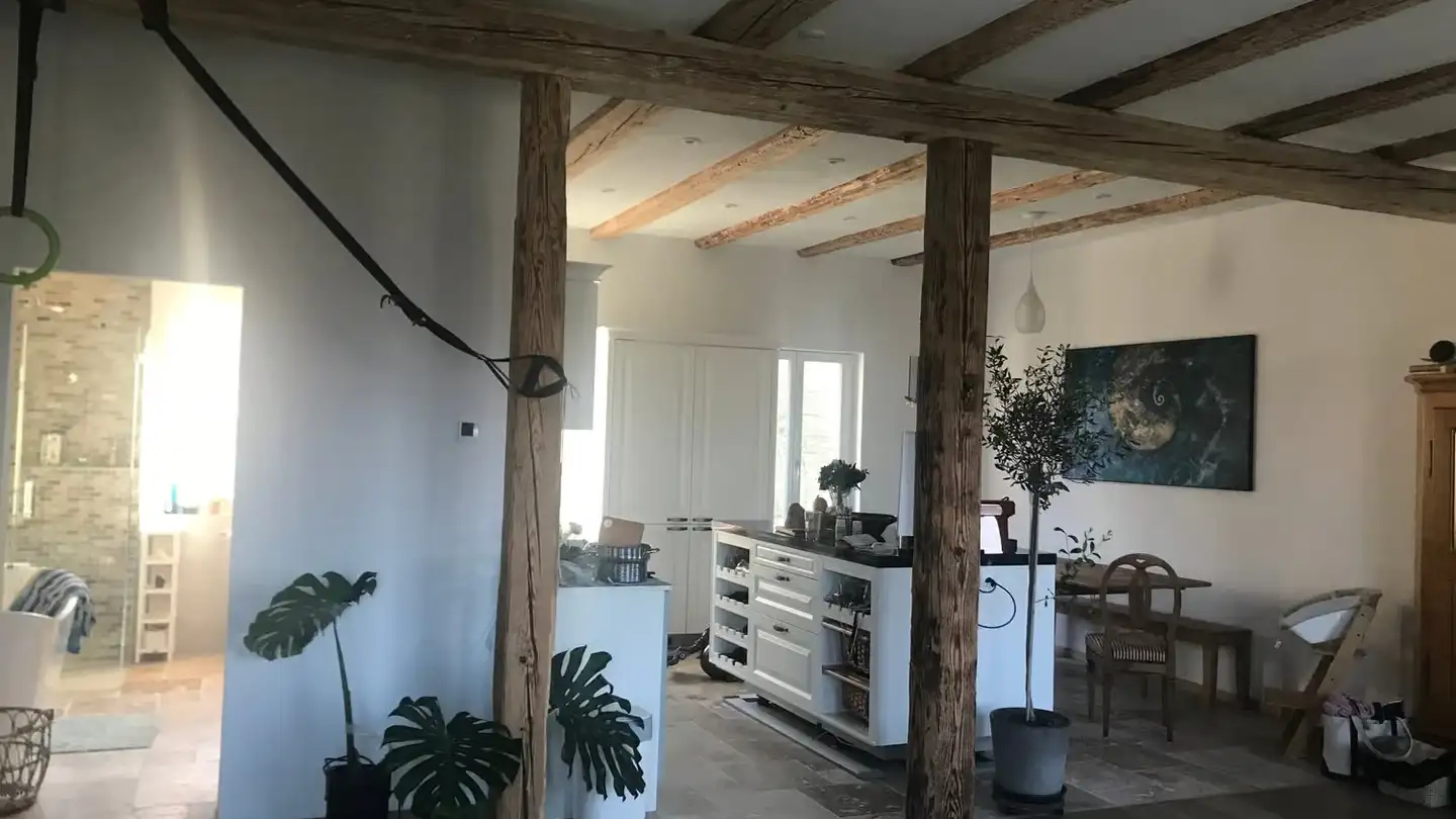 Duplex in affitto - Bad Erlosenstrasse 7, 8340 Hinwil - Foto 3