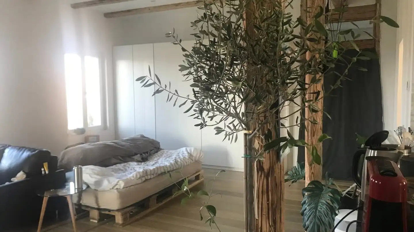 Duplex in affitto - Bad Erlosenstrasse 7, 8340 Hinwil