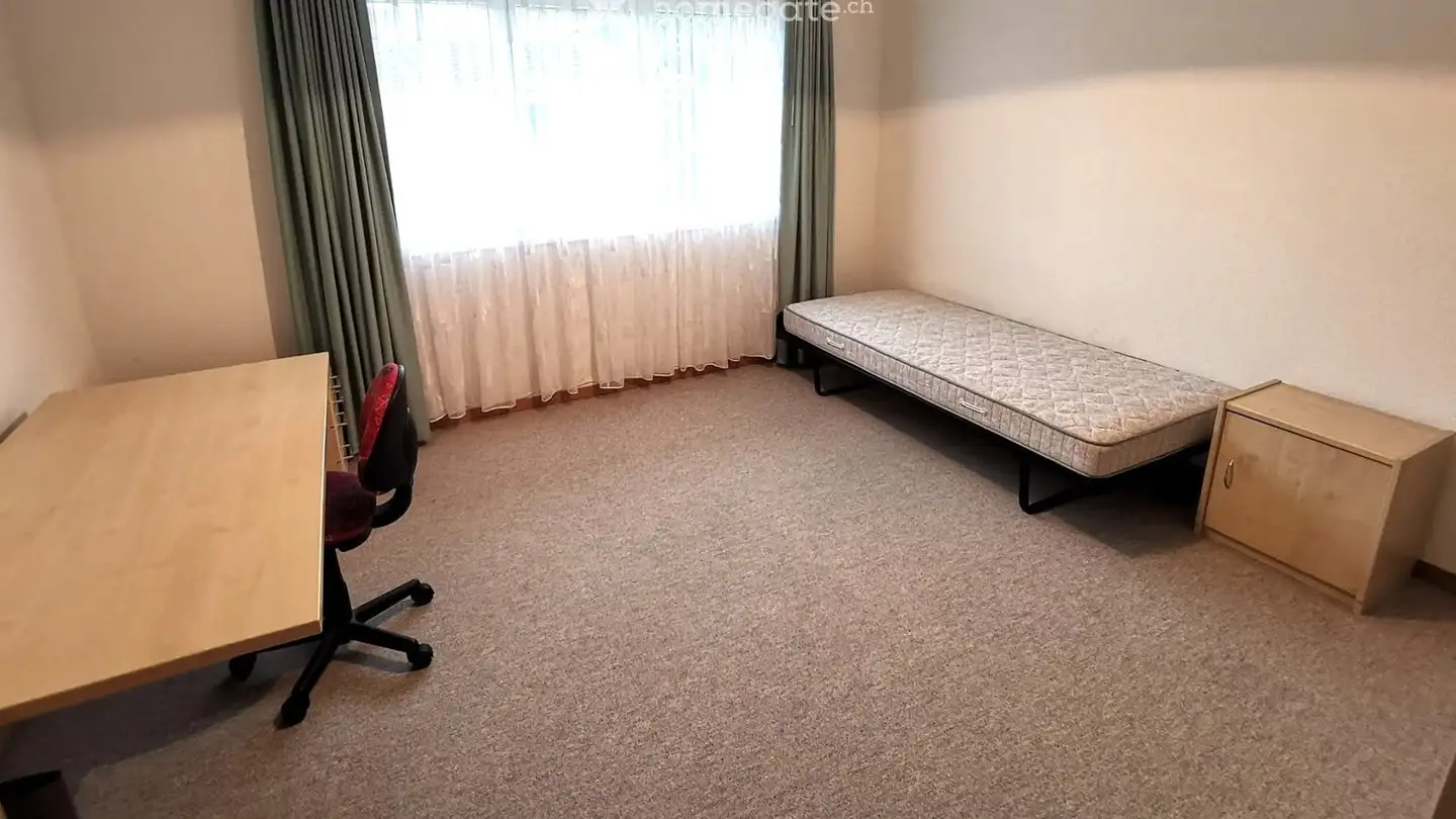 Single room for rent - 4654 Lostorf - Photo 2