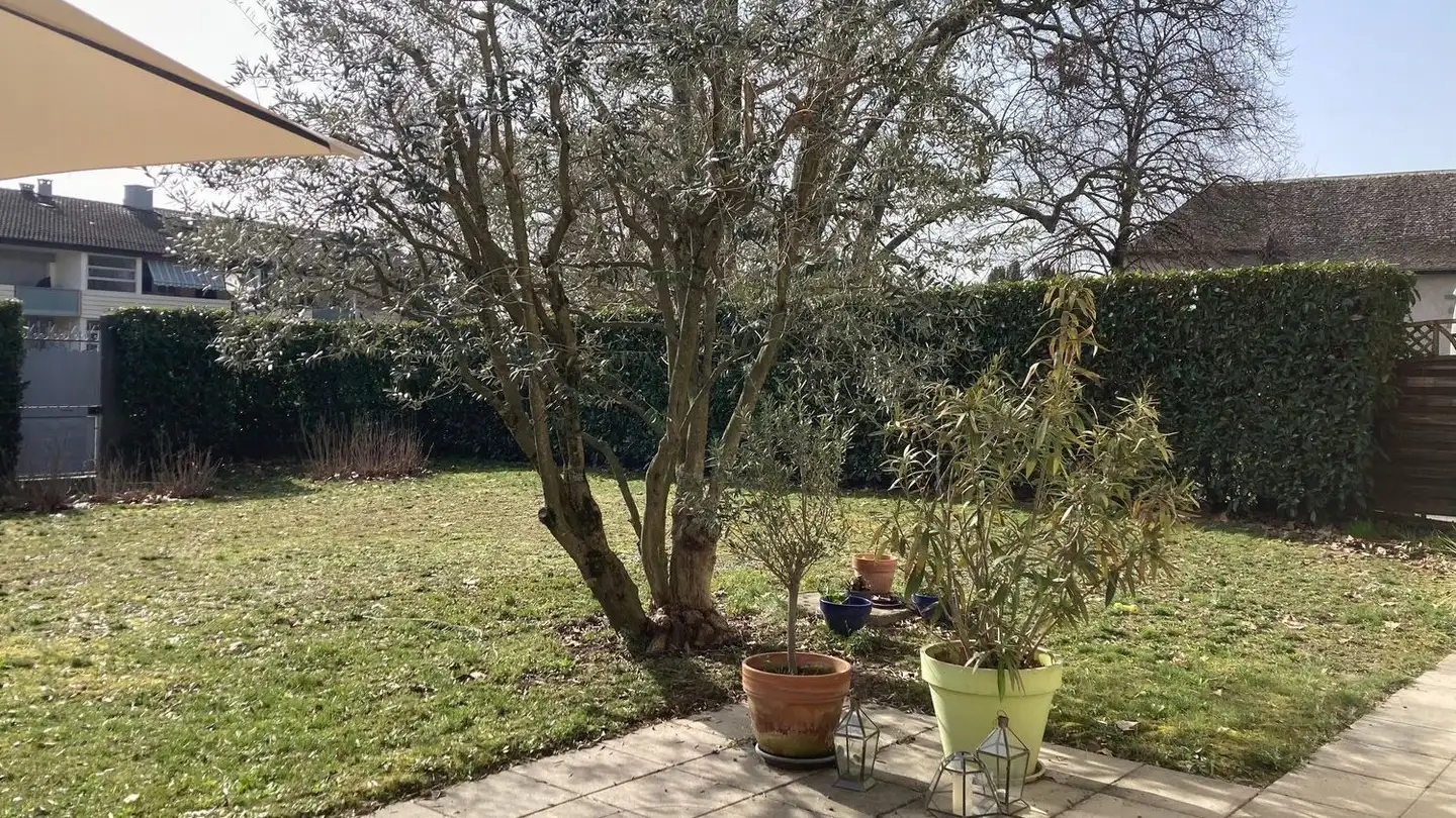 Stepped apartment for rent - 1252 Meinier