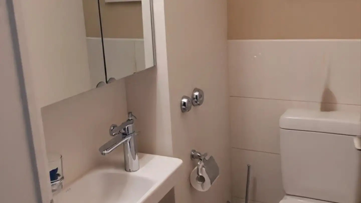 Furnished apartment for rent - 8304 Wallisellen - Photo 2