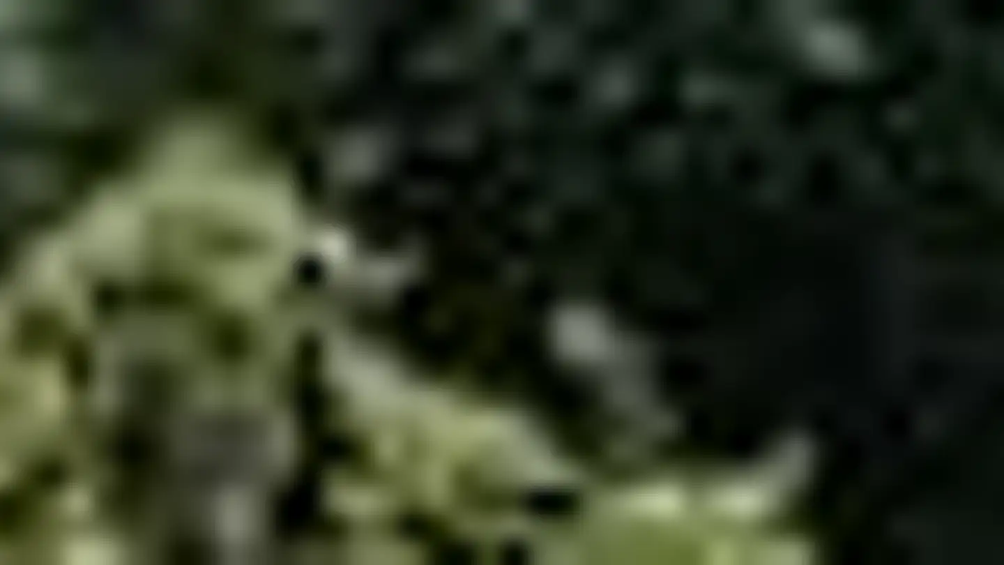 Appartamento in affitto - Bonstetterstrasse 8, 8905 Islisberg - Foto 2