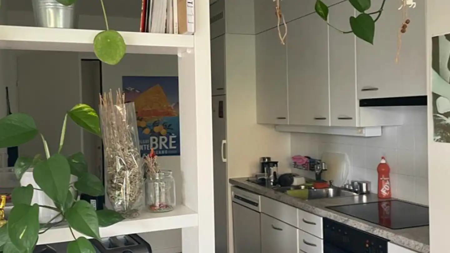 Single room for rent - Buhnstrasse 4, 8052 Zürich - Photo 3