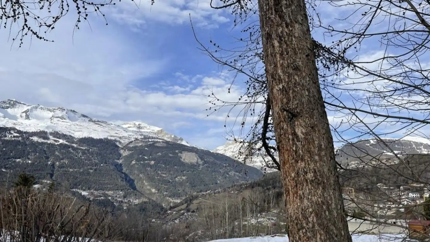 Chalet à vendre - Route De Crans-Montana, 3963 Montana