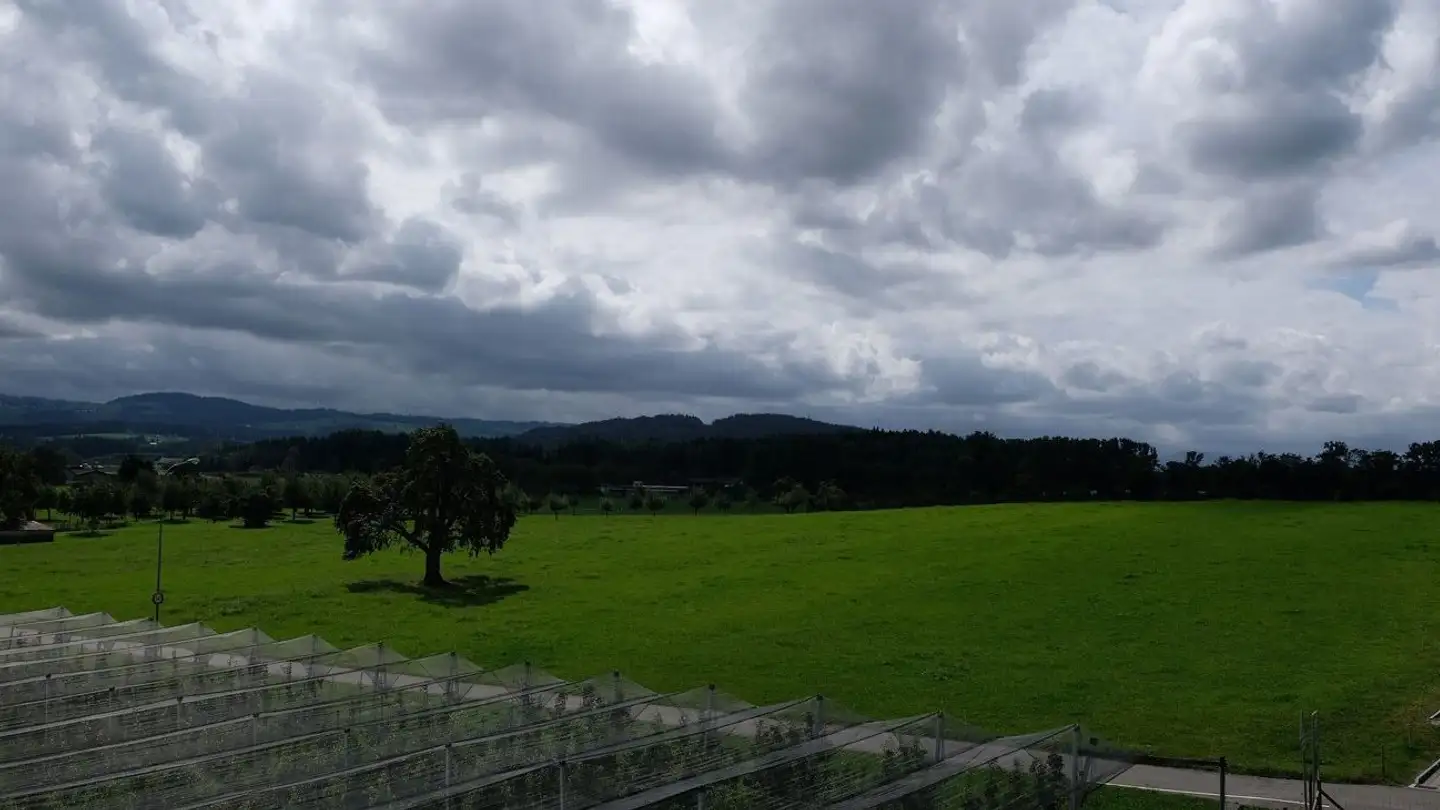 Appartamento in affitto - Jakobsbergstrasse 11, 9306 Freidorf TG - Photo 4