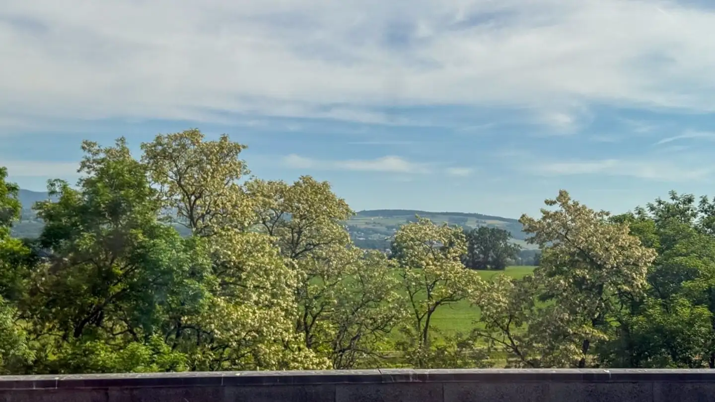 Storage space for rent - 1260 Nyon - Photo 4